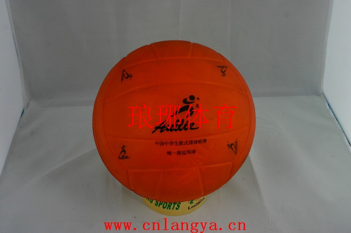 Ballon de volley-ball - Ref 2011982 Image 1