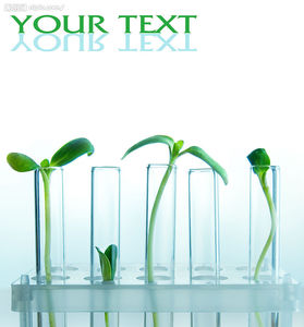 玻璃试管15*150 18*18020*200
 试管  实验仪器 实验试管 直径