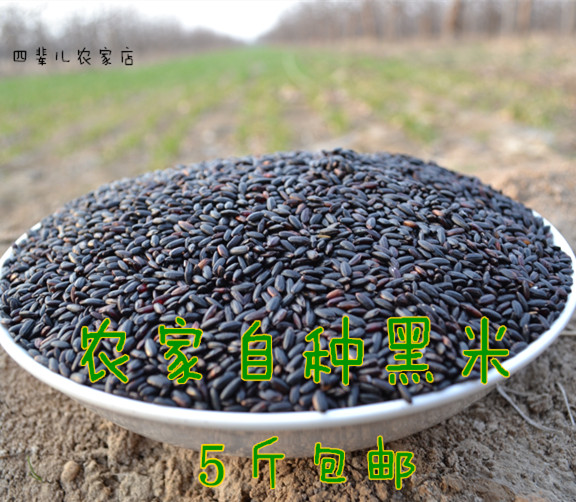 东北黑米黑大米黑香米杂粮粥材料糙米饭黑大米2024年新货农家粗粮