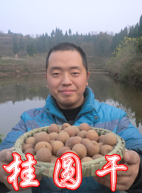 莆田农家特级龙眼桂圆干250g 桂圆肉 肉厚核小  货真价实