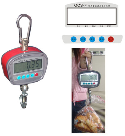 吊秤友声吊钩秤民用小吊秤/吊钩秤/吊钩称150公斤0.02公斤电子吊