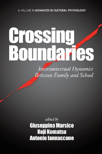 【预售】Crossing Boundaries: Intercontextual Dynamics ...