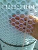 宽度2米 成鸡养殖塑料网 2.0cm 1.8cm 长度50米 网孔：1.5cm