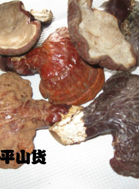 长白山灵芝  赤灵芝 黑灵芝 灵芝 lingzhi 69元50克包邮
