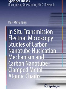 【预订】In Situ Transmission Electron Micros...