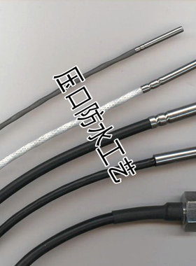 PT100热电阻混凝土RTD温度传感器防水工艺德国TJC2.54端子