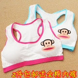 Coques pour soutien-gorge - Ref 820052 Image 78