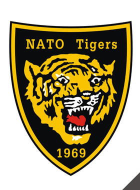 汽车反光贴纸防雨水拉花个性空军标志车身14083北约空军老虎会