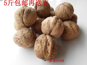 干果特产 干核桃 新货 卢氏野生山核桃 仁香饱满 500g 5斤包邮