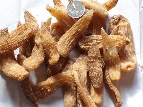 长白山野生天麻 头痛 半斤只要100元 自己挖的野生的 可好了