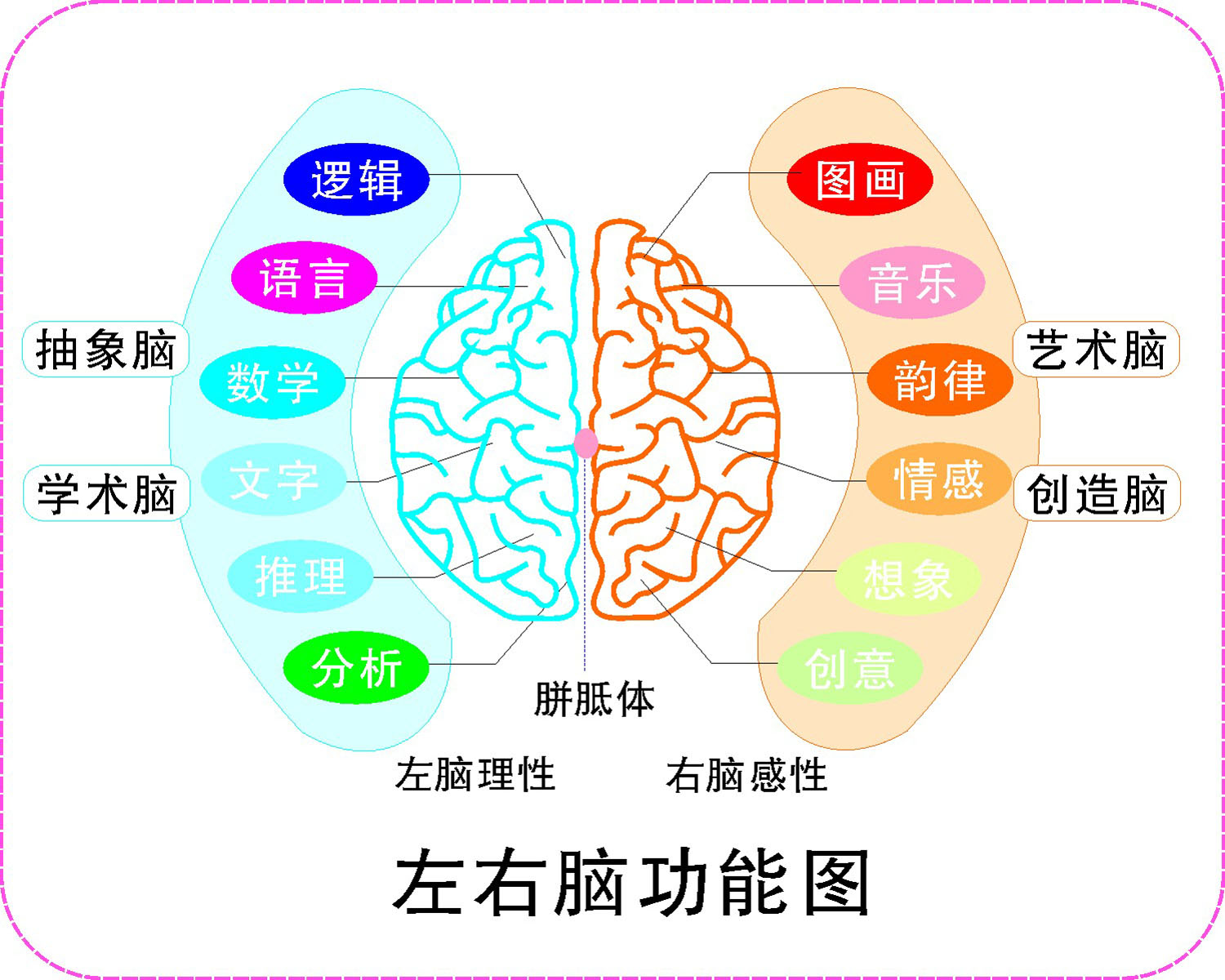 海报印制210海报展板素材(制作)6934左右脑功能图