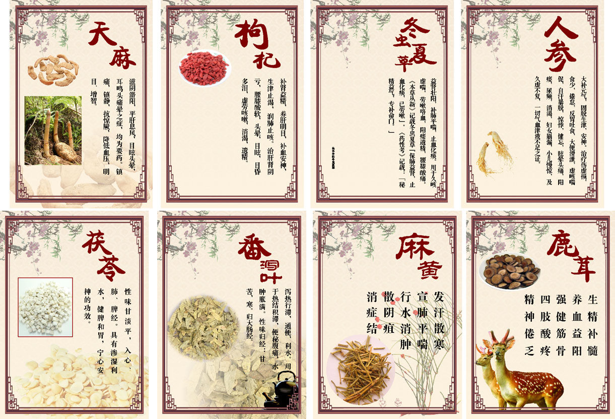 569海报印制海报展板素材414药材简介功能