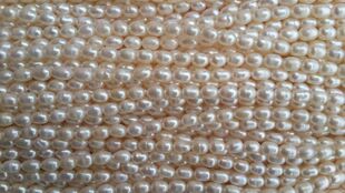 强光淡水珍珠 水滴形椭圆天然珍珠项链 米形5 5.5mm半成品珍珠