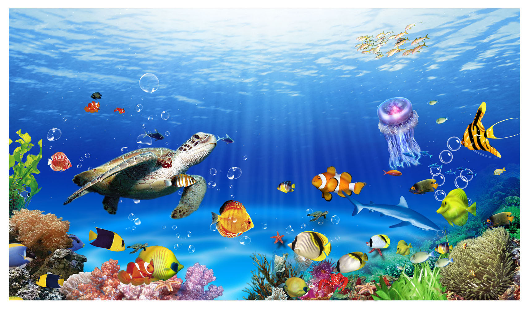 644海报印制海报展板素材769海底图片