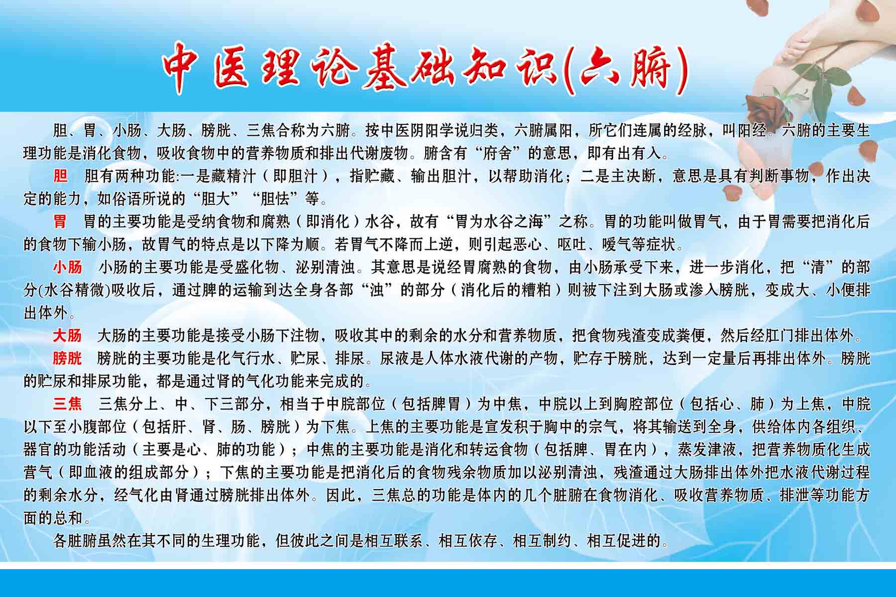 海报印制305素材人体器官展板11中医理论知识 六脏 ps