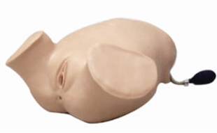 四部触诊、肛查、阴道检查训练模型进行阴道检查与肛查以确定胎位