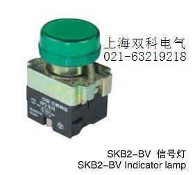 红绿黄蓝白 开孔22MM信号灯 SKB2 LED指示灯 双科电气