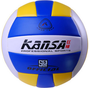 Ballon de volley - Ref 2013038 Image 1