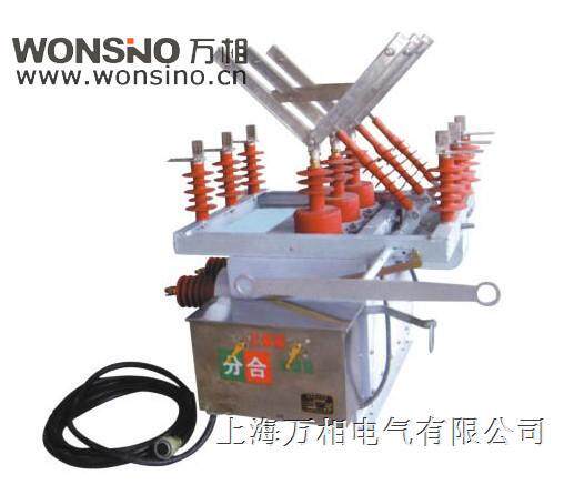 ZWGG-12 高压双电源转换开关 智能相互投切装置 10KV双隔离断路器