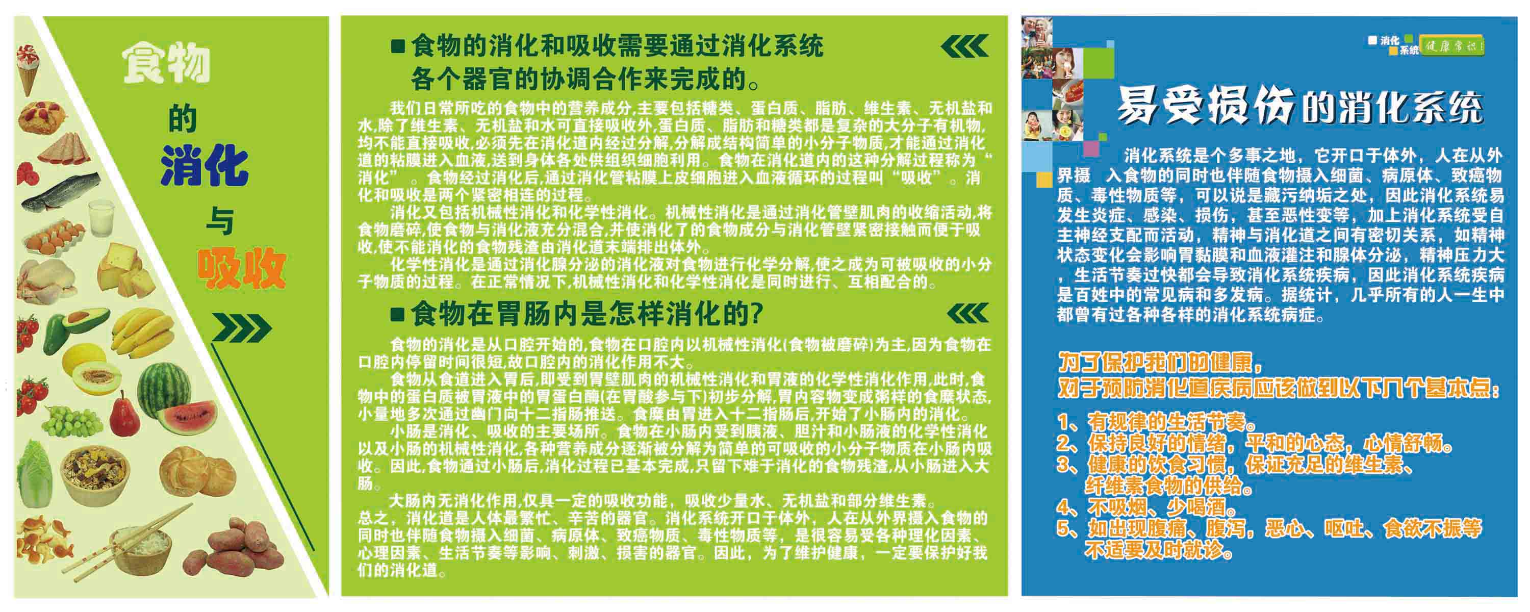 海报印制341素材常识其它海报展板1277胃肠科 食物消化常识