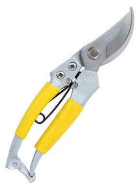 威特力 弯咀不锈钢果枝剪 园艺剪刀 树枝剪 花剪 弯嘴花枝剪 果剪