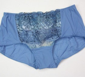 清仓专柜正品 戴芝蒂文胸B02909/B02908的配套小平脚女内裤B02501