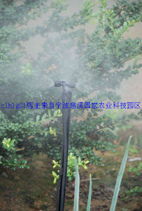 。微滴微喷 雾化微喷 浇灌 棱条纹优质四出口雾化微喷头+50cm地插