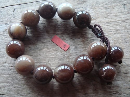 树化玉手素材模板 树化玉手图片下载 小麦优选