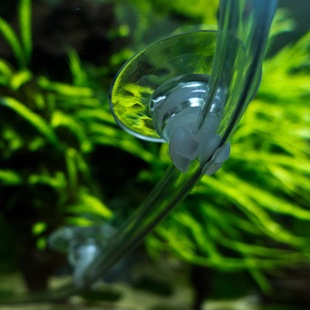 田园漫步心形气管夹吸盘（固定细化器、气管、温度计、等）4组装