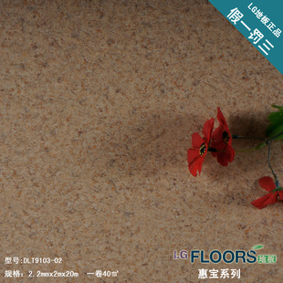 石塑地板 塑胶地板 塑料地板 PVC地板 耐磨 正品 地板革加厚