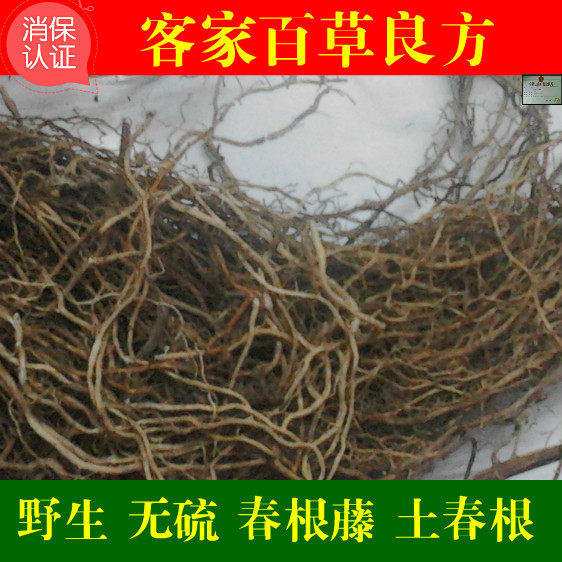 真货春根藤 牛尾蕨 土春根 牛尾结  牛尾菜 大通根 拍2斤包邮