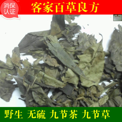 九节莲茶  九节茶 草珊瑚  肿节风500g 九节风 接骨莲 包邮
