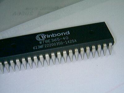 W78E365-40  华邦单片机W78E365A40DL  全新