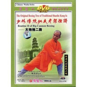 【天韵◆正版】少林传统功夫老架捶谱:大炮捶二路 1DVD 释德扬