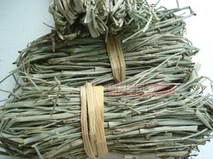 纯野生木贼 木贼草 节节草 节骨草 无心草 自采长条可打磨500g