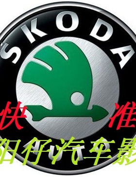 CD导航DVD斯柯达 昊锐 RCD510查密码300机头200解码RNS315解锁