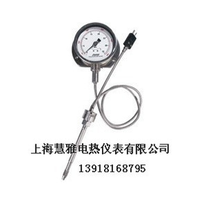 ZHYQ柔性管变送输出压力表温度双测量压力 PT124Y-615T