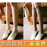 Chaussettes - collants ARTRIX - Ref 767073 Image 8