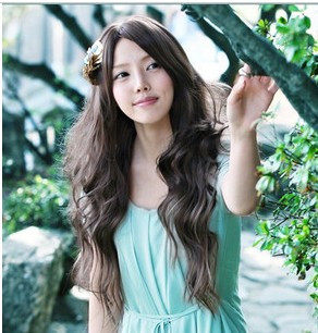 Perruque Les cheveux longs - Ref 2613896 Image 1