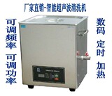 DSA300-GL2智能型可调频率 德森超音波清洗器清洗仪 