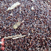 2025年新农家黑麦黑麦粒黑小麦黑小麦米杂粮粗粮打米糊 500克