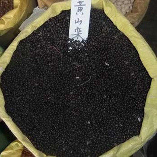 栾树新采林木绿化树黄山栾种子栾树种子灯笼树摇钱树全缘栾树种子