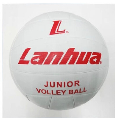 Ballon de volley-ball - Ref 2012272 Image 1
