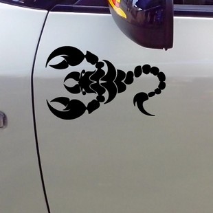 车贴 个性 汽车贴纸 蝎子贴纸 拉花保险杠 遮盖划痕反光 搞笑