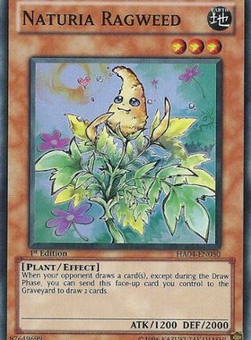 游戏王 美版 正版 - 自然豚草 Naturia Ragweed/面闪/HA04