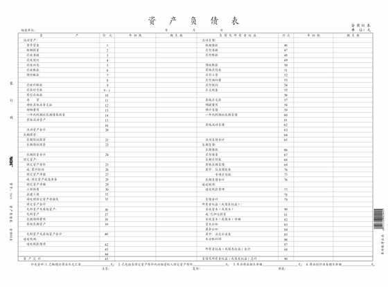 莱特 7601 资产负债表 8k 账薄 会商01表  45页/本 会工01表 7501