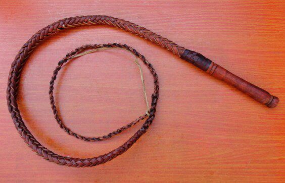 Article sports equestres - Ref 1381257 Image 1