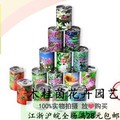 Bình thủy tinh siêu mỏng phần [bóng nhỏ] chai cho cây thủy canh - Vase / Bồn hoa & Kệ chậu nhựa trắng