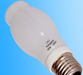 HalogenA /A灯/A光源60W 230V 美式灯箱专用