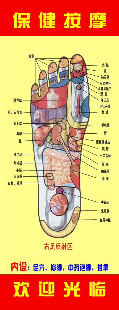 649海报印制定制展板848脚穴位右足反射区挂画保健按摩   非高清